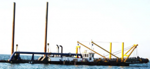 Image of Mubarakia 50