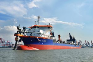 Image of Vox Máxima