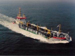 Image of Amazone tshd