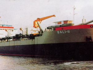 Image of Bali II