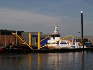 Image of EDT Oxyrinchus