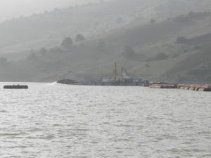 Image of Rezoug Youcef