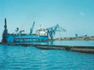 Image of Tarek Ebn Zeyad