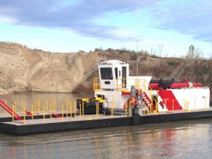 Image of Tomlinson Shark