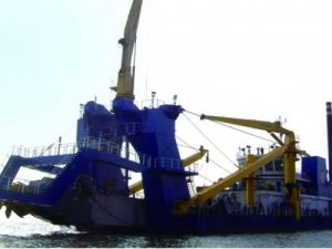 Image of Xin Hai Jiao