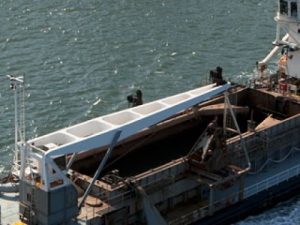 Image of David Allan