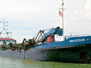 Image of Inai Kesuma