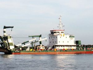 Image of Inai Liatree