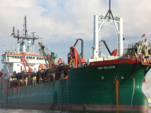 Image of Inai Selasih