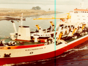 Image of Kalimantan II