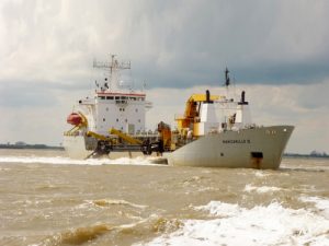 Image of Manzanillo II