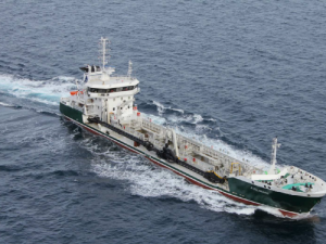 Image of Stellamaris