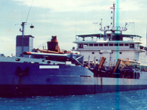 Image of Sulawesi II
