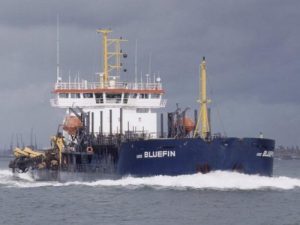 Image of UKD Bluefin