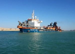 Image of Volvox Asia