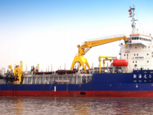 Image of Xin Hai Hu 8