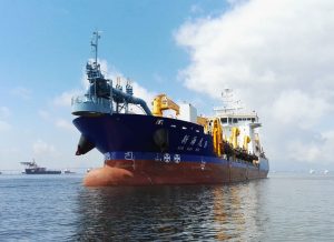 Image of Xin Hai Hu 9