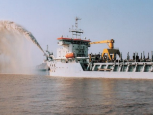 Image of Xin Hai Long